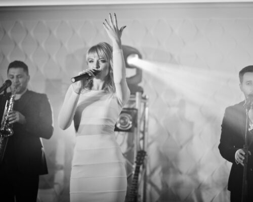 Ce ingredient minune conține muzica de petrecere?